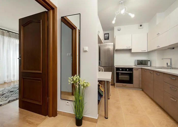 Stylowy Z Klimatyzacja I Parkingiem By Renters * ורוצלב